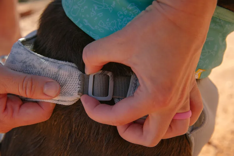 Ruffwear Swamp Cooler Harness - Sage Green-7